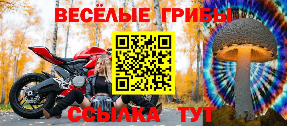 Воткинск  Галлюциногенные грибы ЛСД  Вход с VPN  Галлюциногенные грибы прущие грибы 