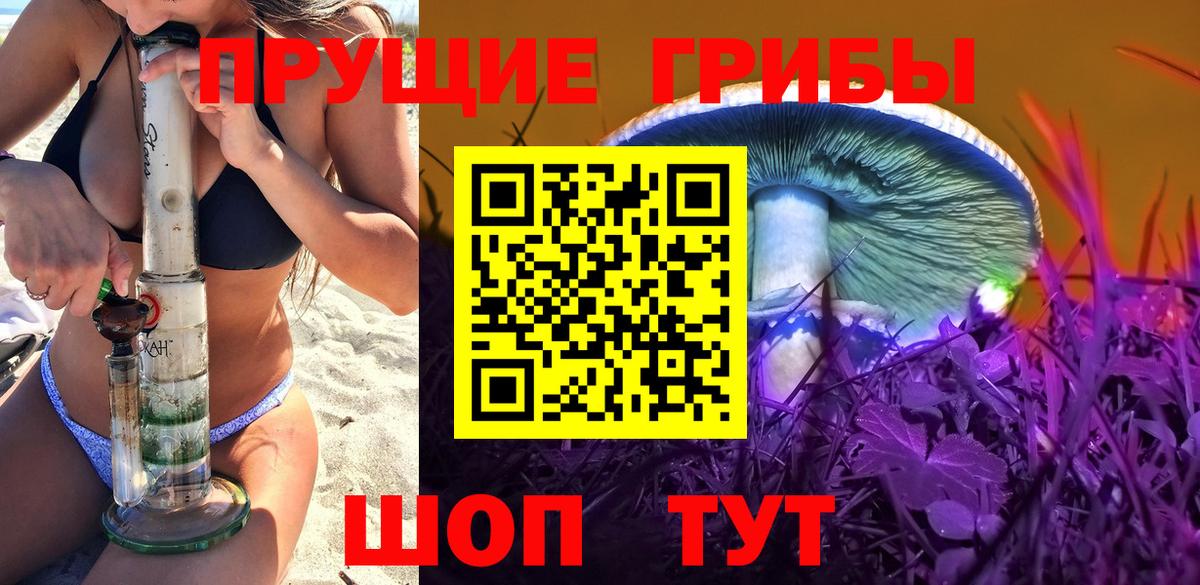 Псилоцибиновые грибы Cubensis Воткинск